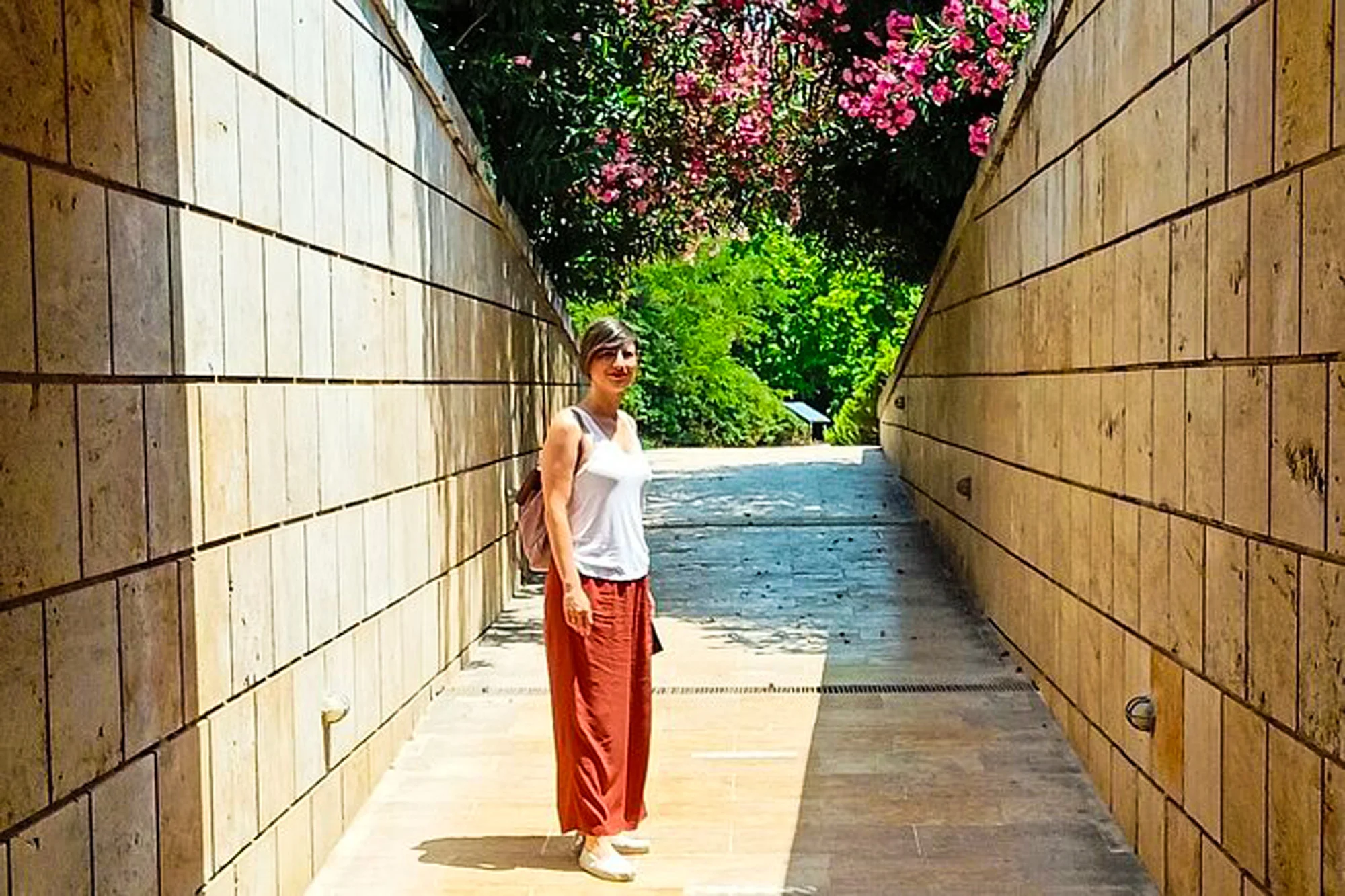 Aigai Museum Golden Wall Walkway Tour
