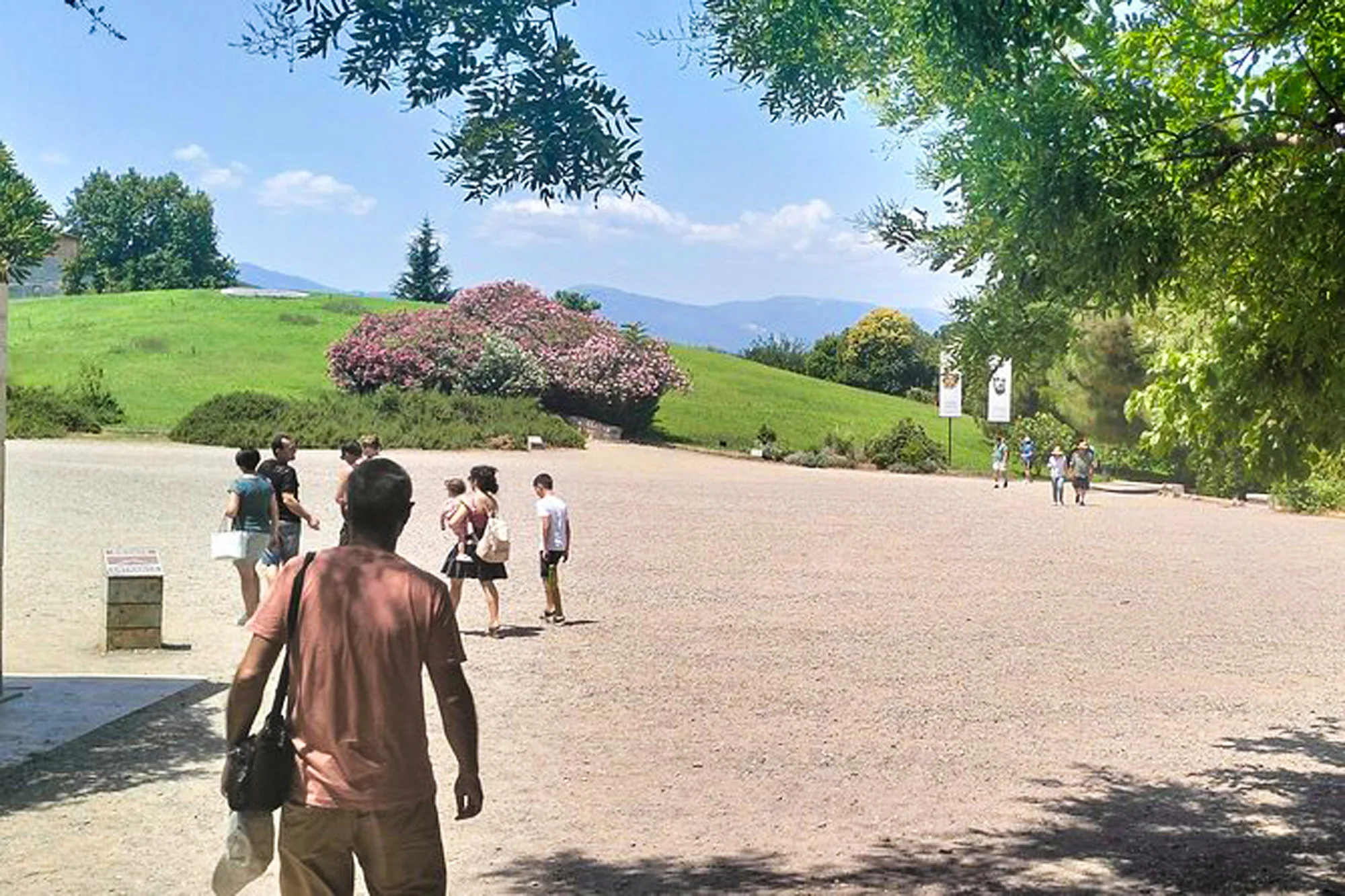Aigai Museum Landscape Vergina Private Tour