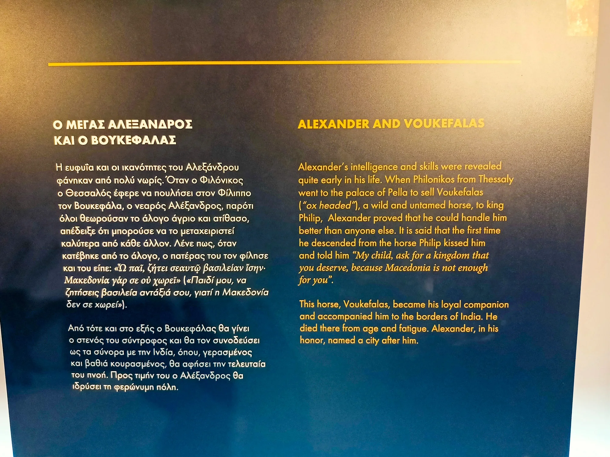 Alexander And Bucephalus Museum Panel Tour