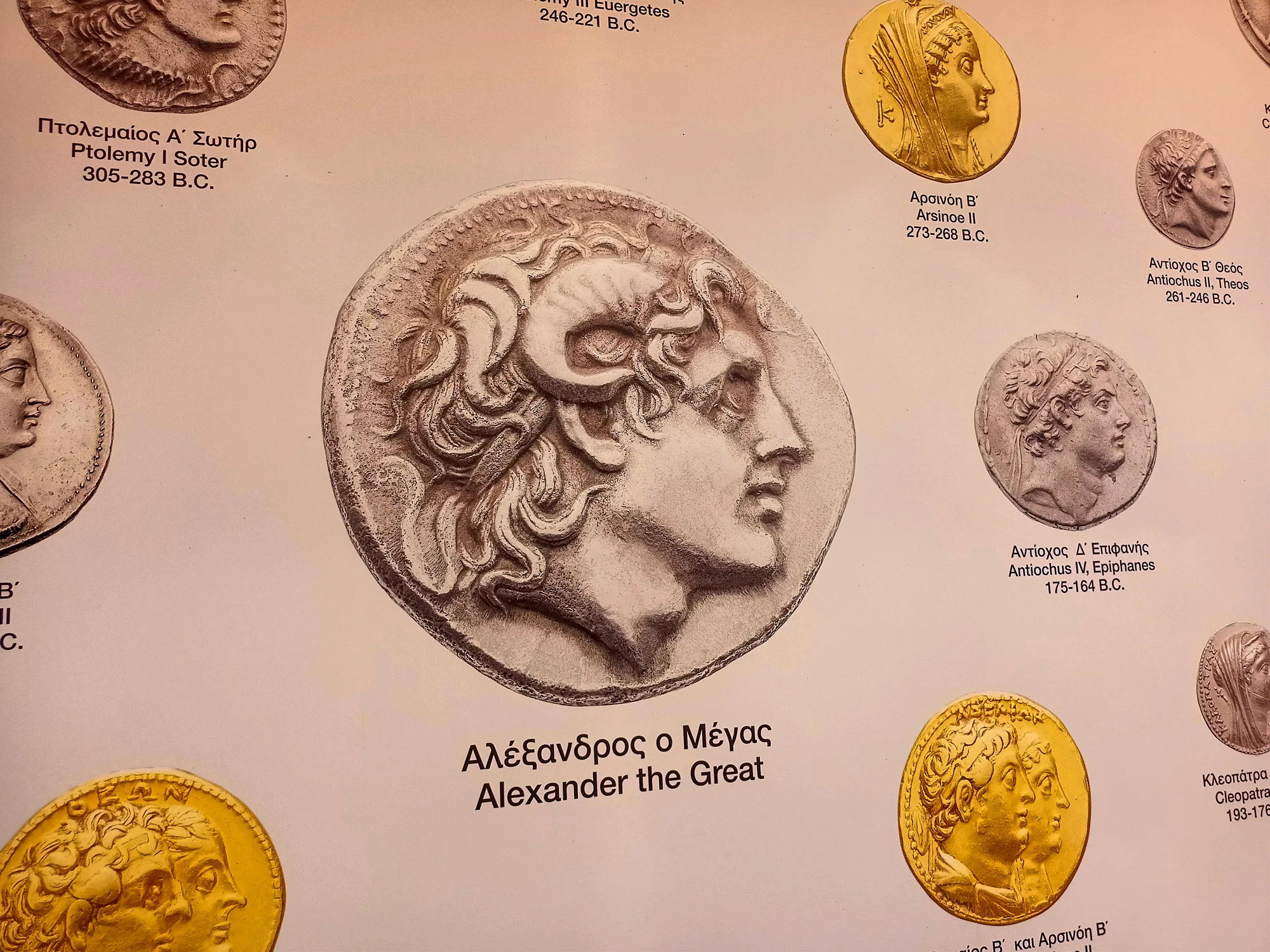 Alexander Coin Closeup Aigai Museum Tour