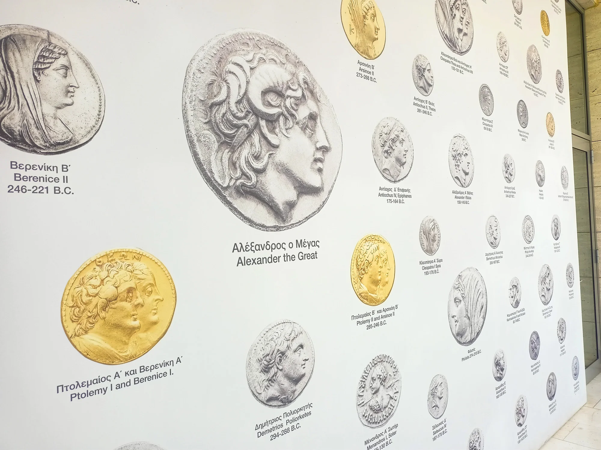 Alexander Gold Coin Display Aigai Museum