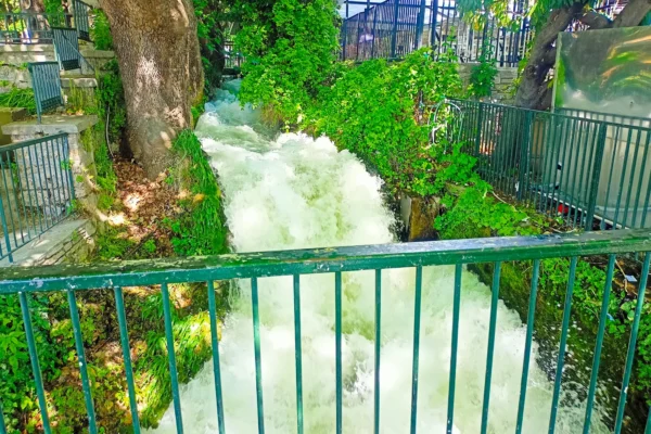 Edessa Waterfall View Private Tour