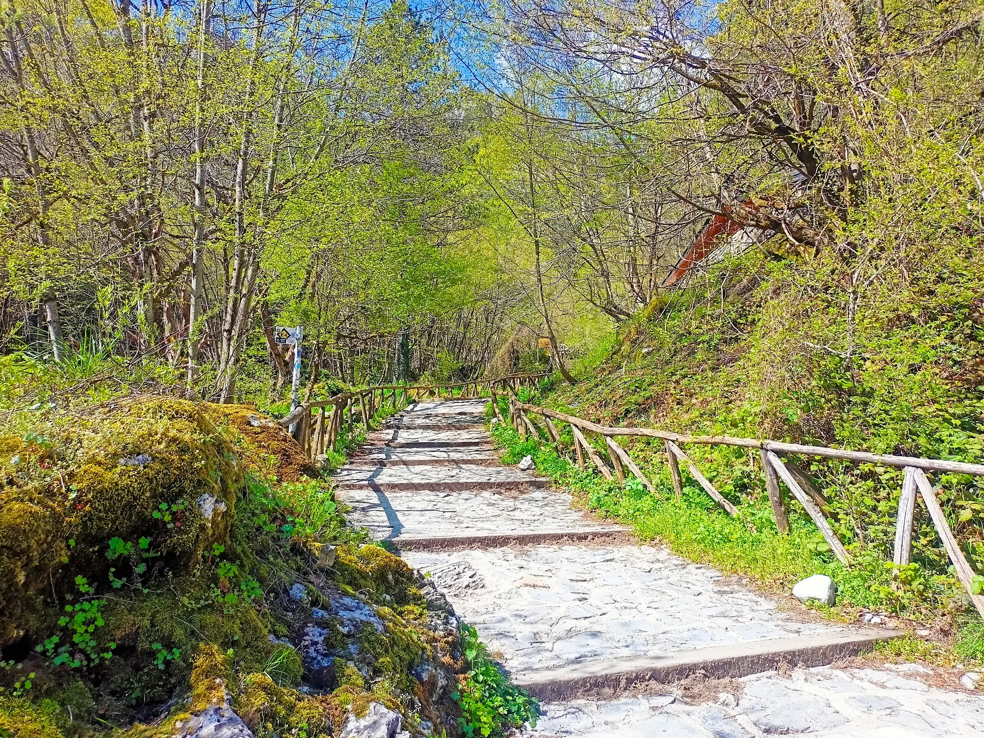 Mount Olympus Enipeas Gorge Trail Private Tour