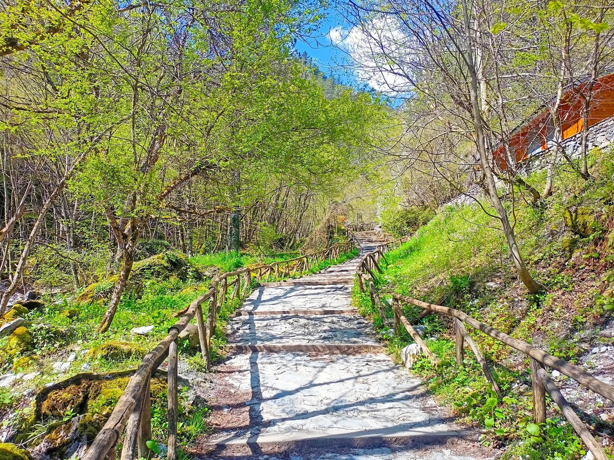 Mount Olympus Forest Path Day Trip