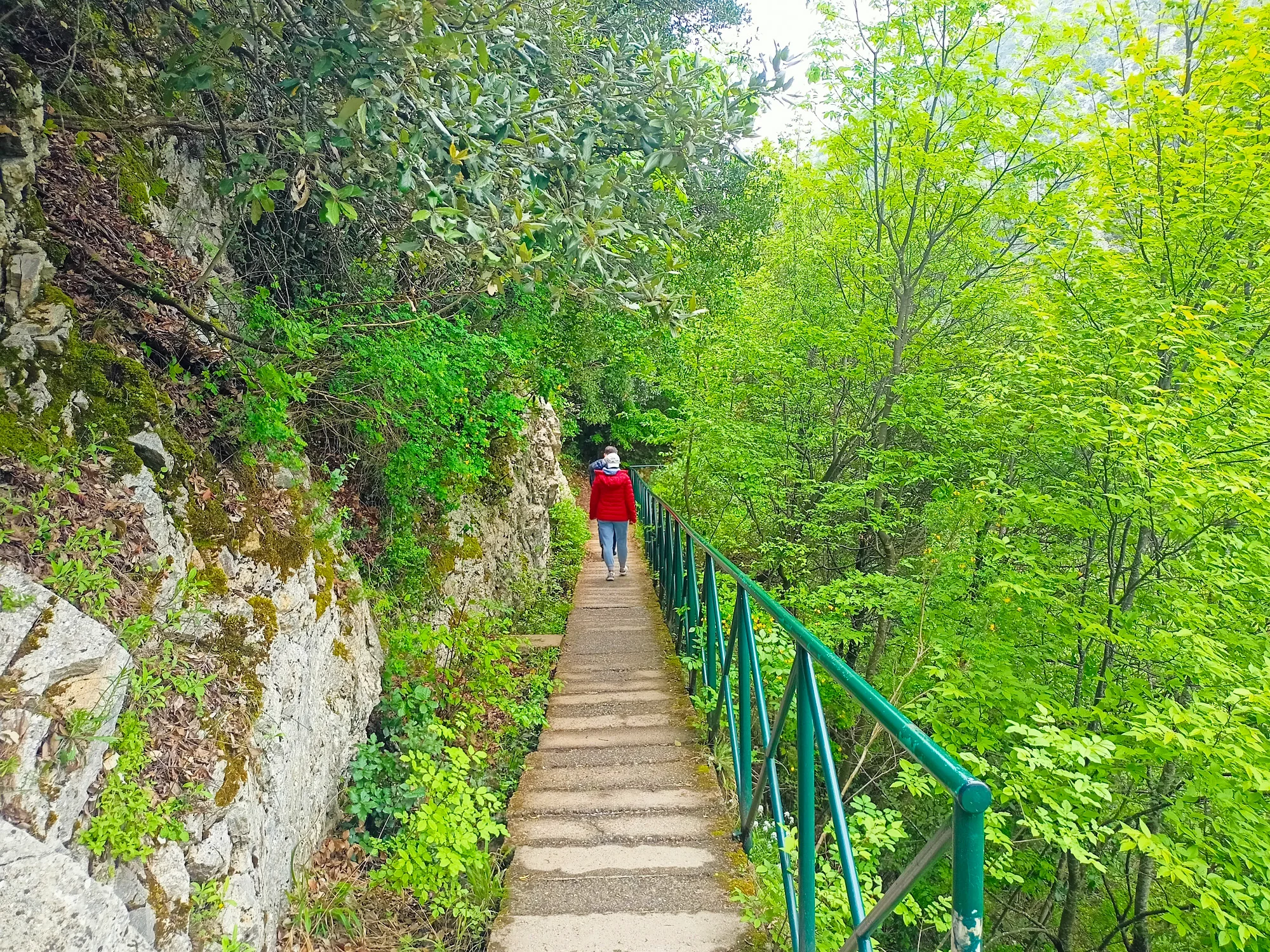 Mount Olympus Forest Stairs Private Day Trip