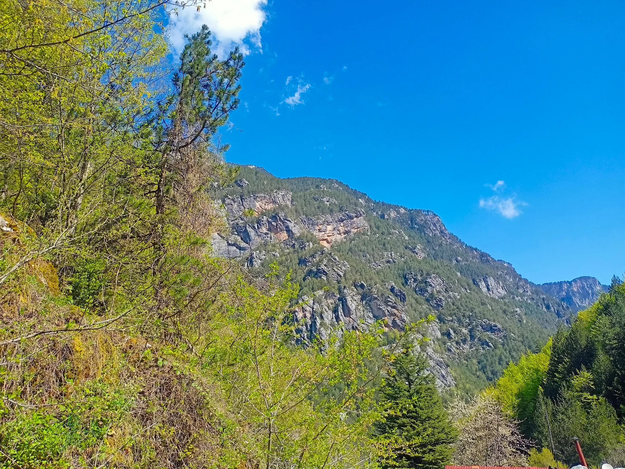 Mount Olympus Mountain Cliffs Day Trip