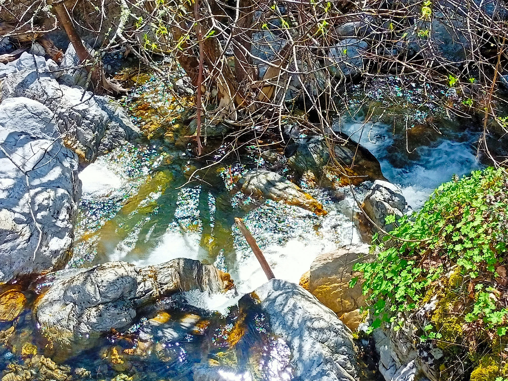 Mount Olympus River Rocks Nature Tour