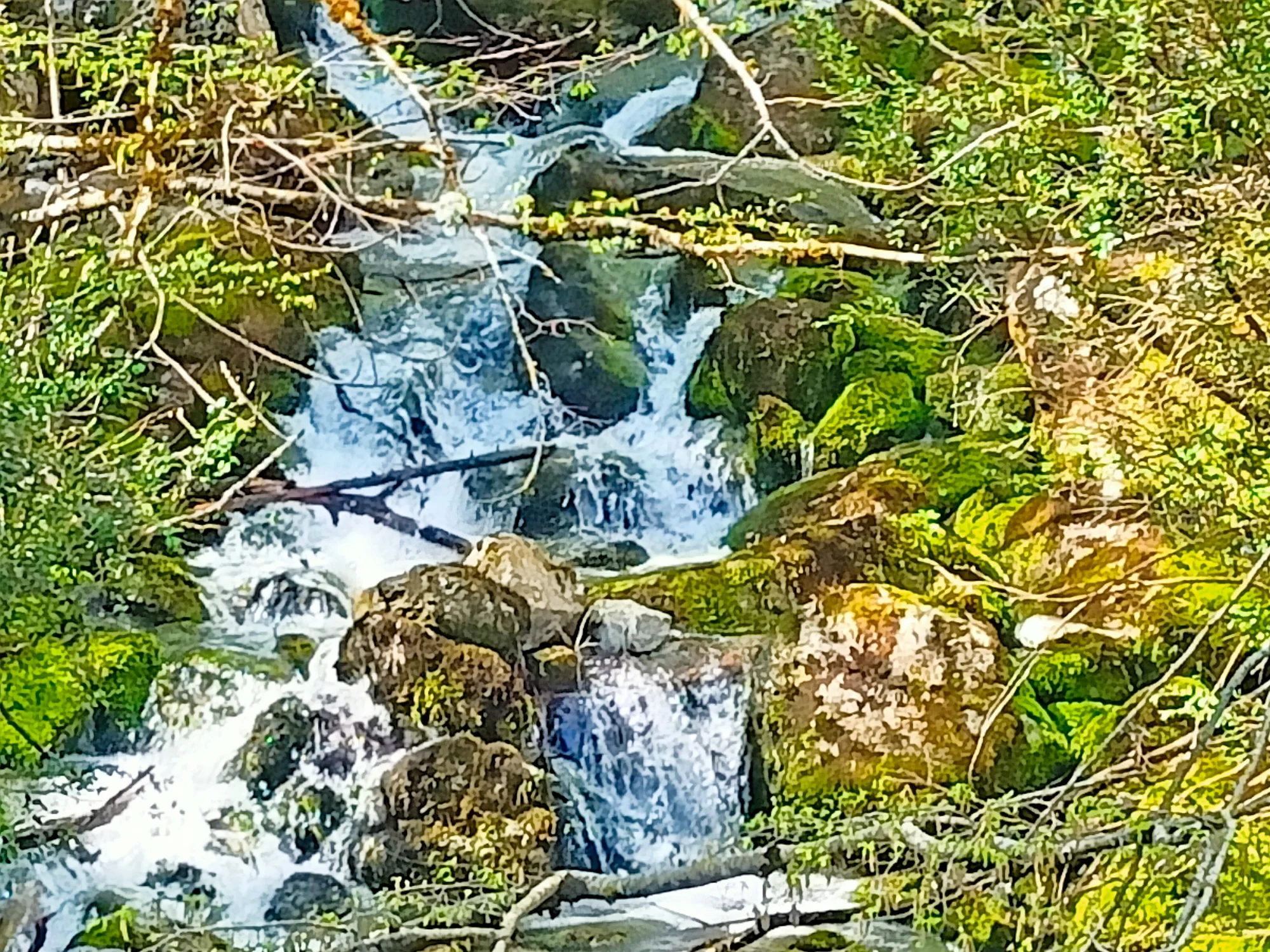 Mount Olympus Waterfall Enipeas Gorge Tour