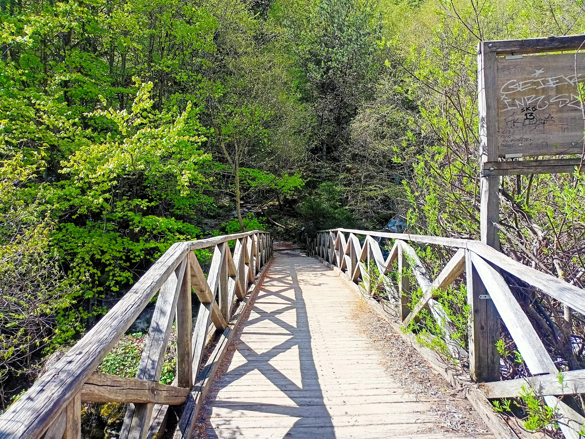 Mount Olympus Wooden Bridge Enipeas Gorge