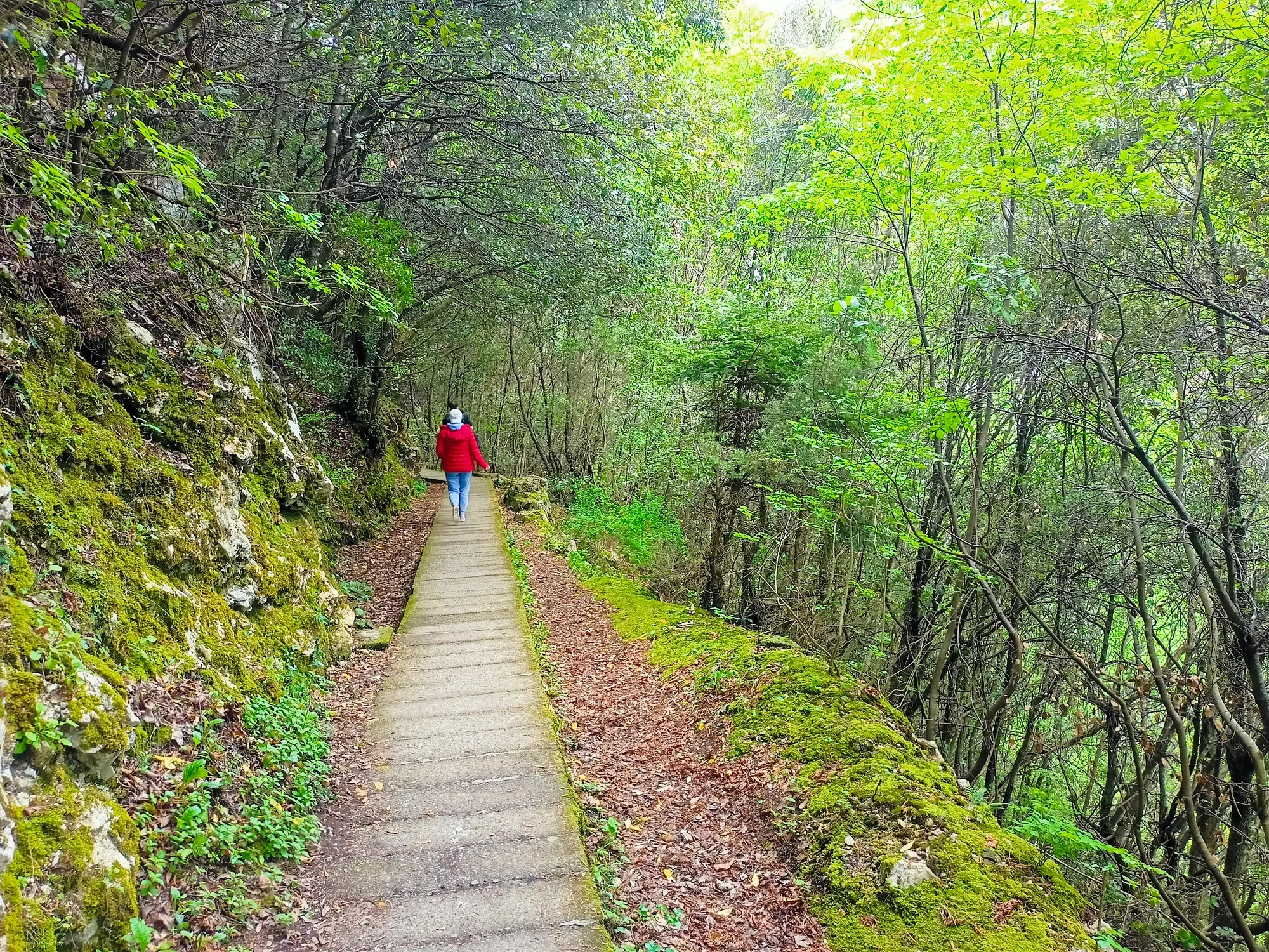 Mount Olympus Woodland Trail Private Tour