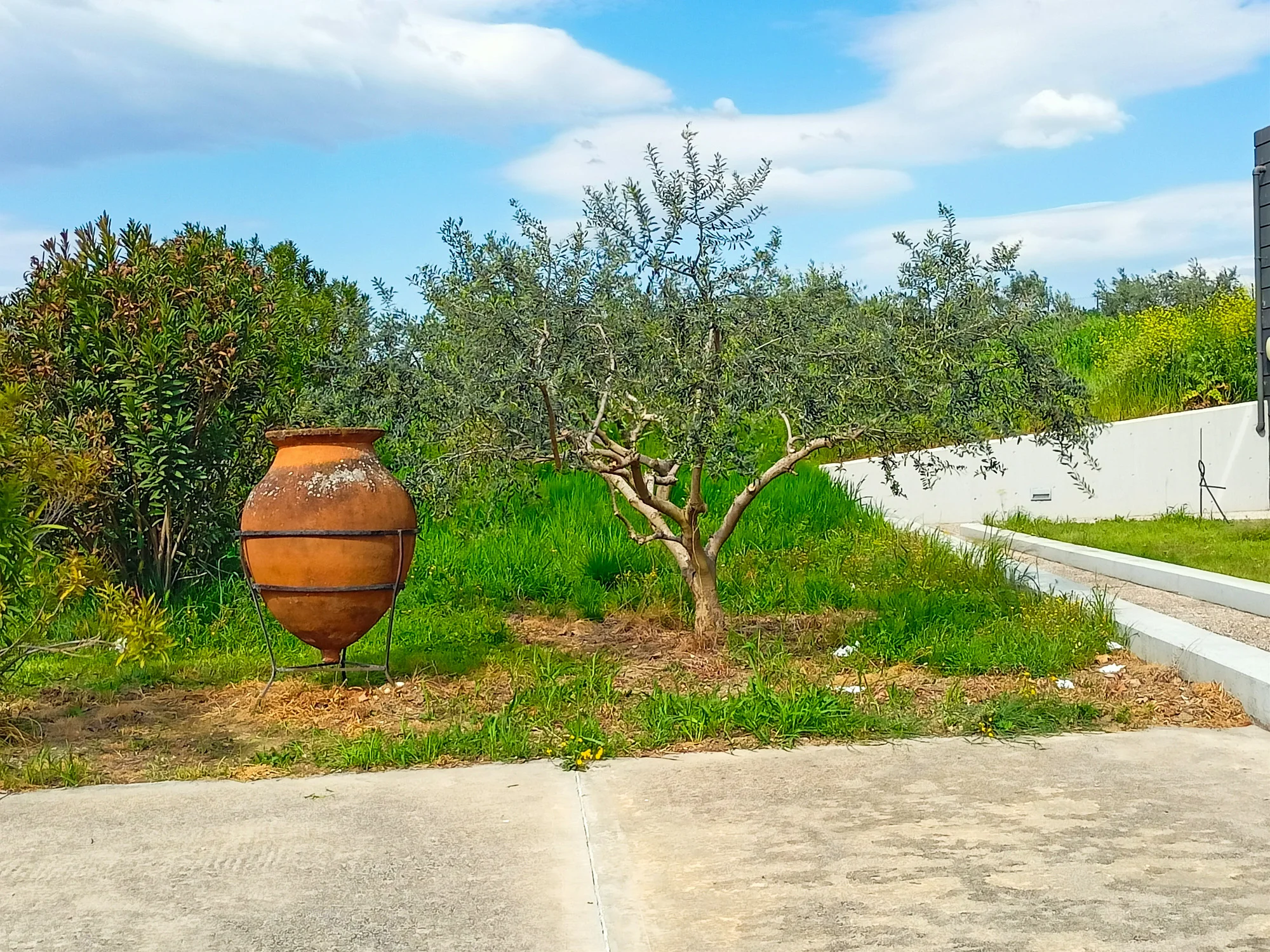 Pella Ancient Jar Exhibit Private Tour