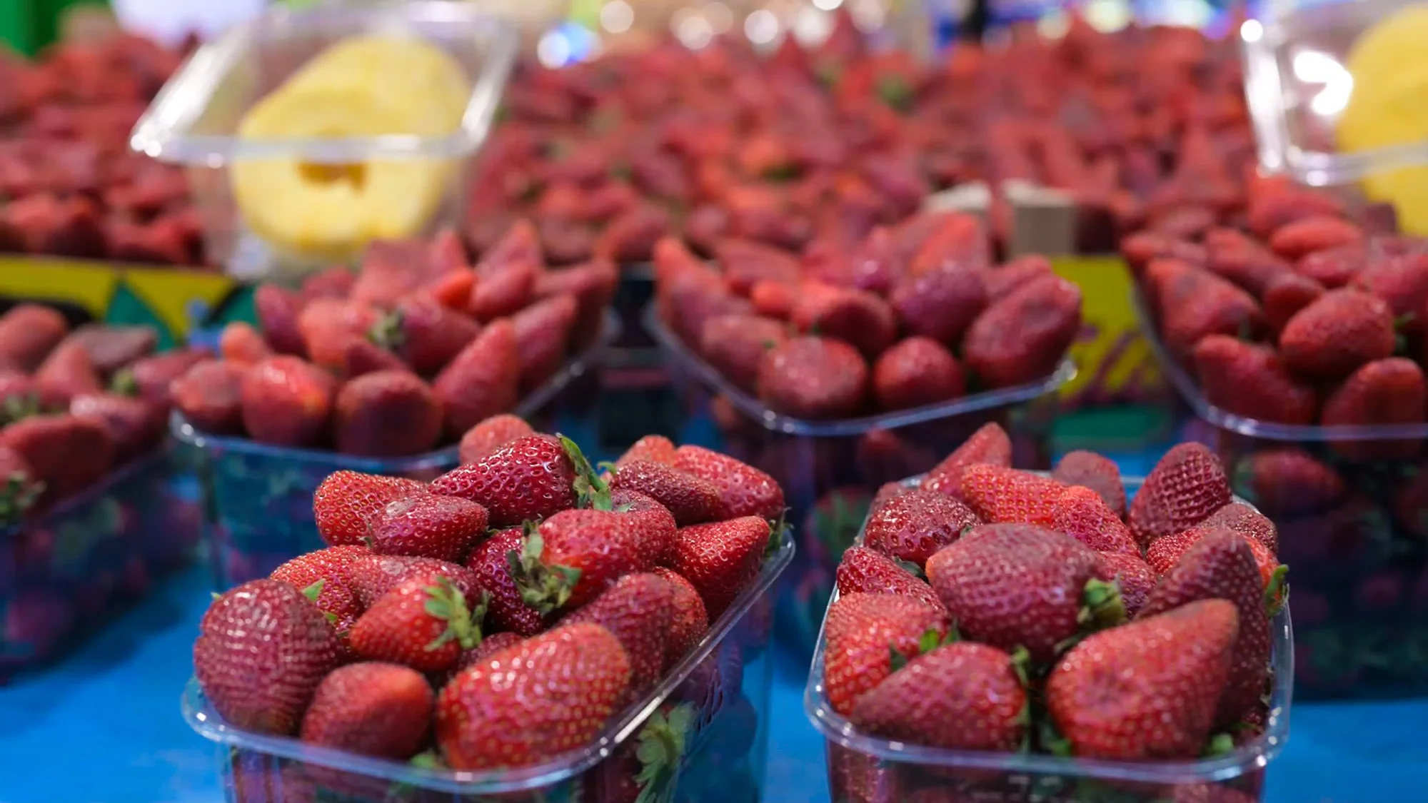 Thessaloniki Street Food Tour Seasonal Local Flavors